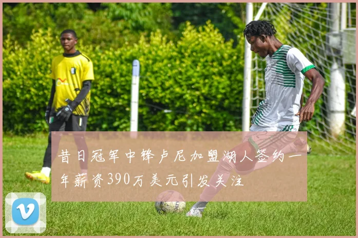 昔日冠军中锋卢尼加盟湖人签约一年薪资390万美元引发关注